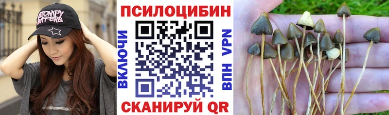 Псилоцибиновые грибы ЛСД  дарк нет как зайти  Бабушкин  купить наркотик 